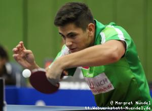 Martin Allegro (J&uuml;lich)