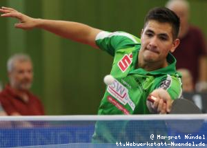 Martin Allegro (J&uuml;lich)