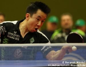 Gustavo Tsuboi (Bremen)