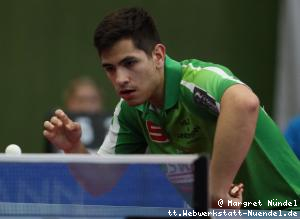 Martin Allegro (J&uuml;lich)