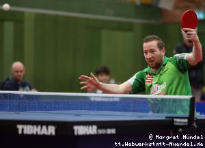 bilder_20190317/03_e3_e3_Robin