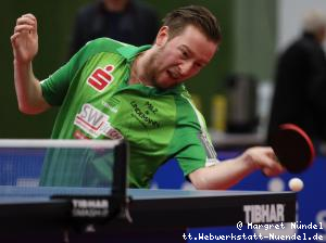 bilder_20190317/03_e3_e3_Robin