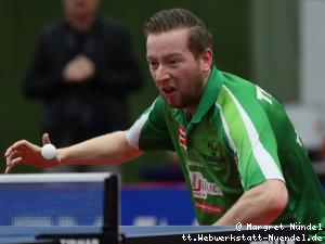 bilder_20190317/03_e3_e3_Robin