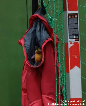 Maus in der Kapuze einer Jacke