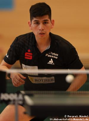 Gustavo Gomez (Passau)