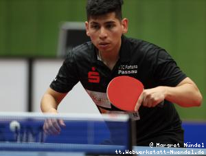 Gustavo Gomez (Passau)