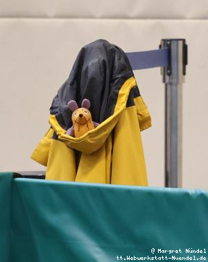 Maus